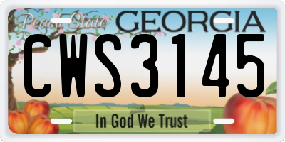 GA license plate CWS3145