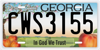 GA license plate CWS3155