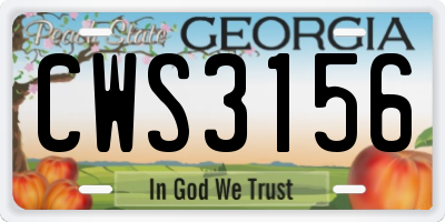 GA license plate CWS3156