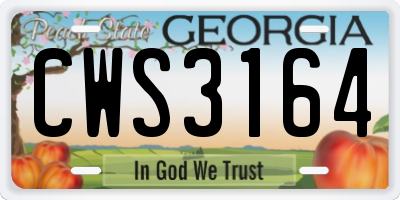GA license plate CWS3164