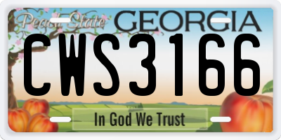 GA license plate CWS3166