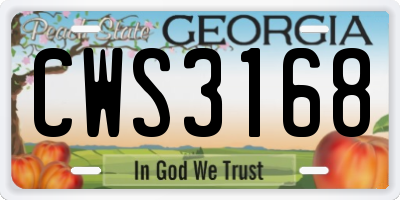 GA license plate CWS3168