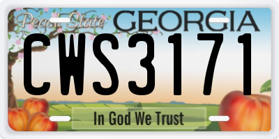 GA license plate CWS3171