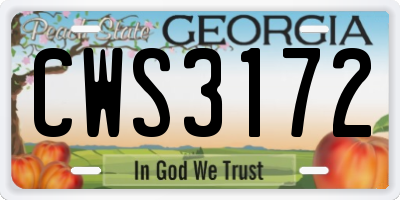 GA license plate CWS3172