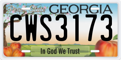 GA license plate CWS3173
