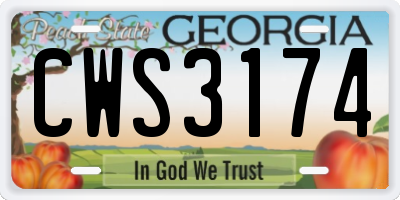 GA license plate CWS3174
