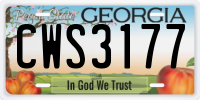 GA license plate CWS3177