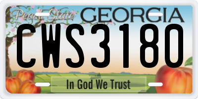 GA license plate CWS3180