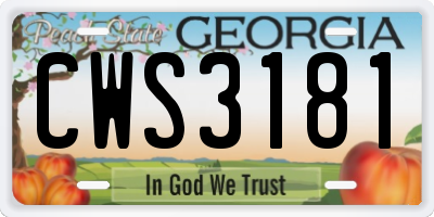 GA license plate CWS3181