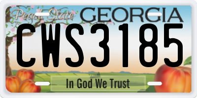 GA license plate CWS3185