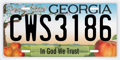 GA license plate CWS3186