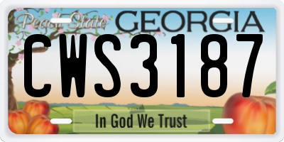 GA license plate CWS3187
