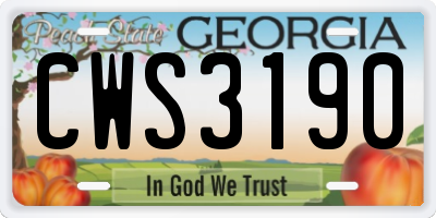 GA license plate CWS3190