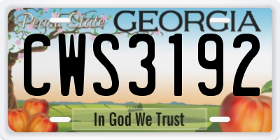 GA license plate CWS3192