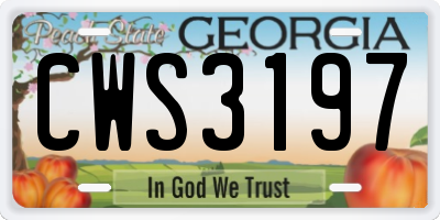 GA license plate CWS3197