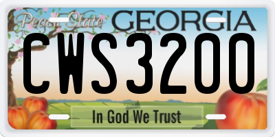 GA license plate CWS3200