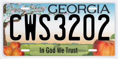 GA license plate CWS3202