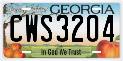 GA license plate CWS3204