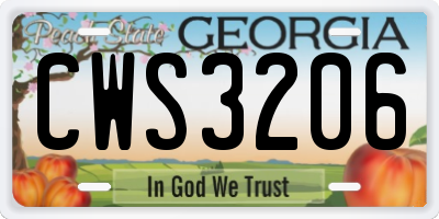 GA license plate CWS3206