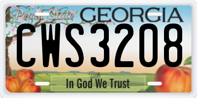 GA license plate CWS3208