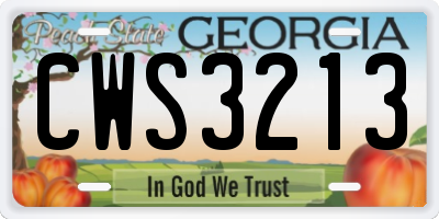 GA license plate CWS3213