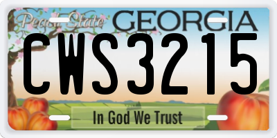 GA license plate CWS3215