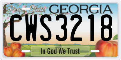 GA license plate CWS3218