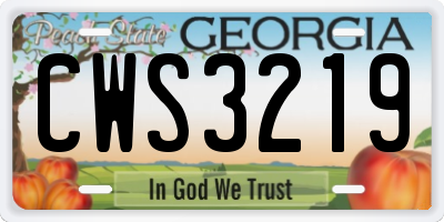 GA license plate CWS3219
