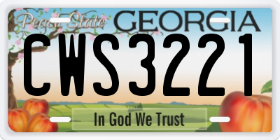 GA license plate CWS3221