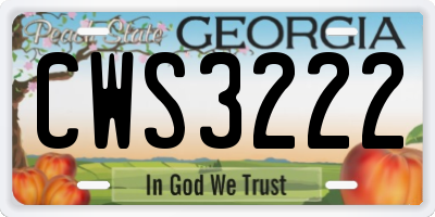 GA license plate CWS3222