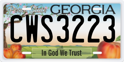 GA license plate CWS3223