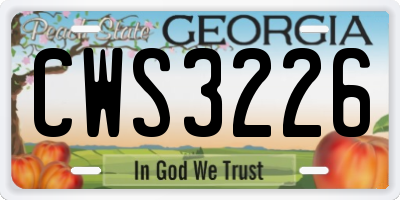 GA license plate CWS3226