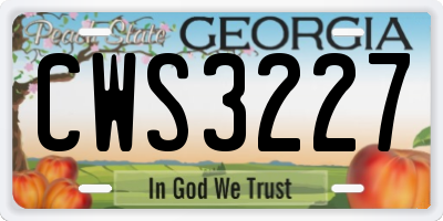 GA license plate CWS3227