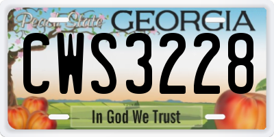 GA license plate CWS3228