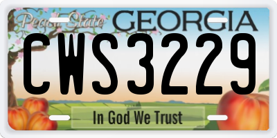 GA license plate CWS3229
