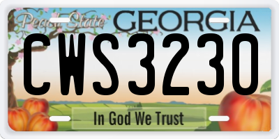 GA license plate CWS3230