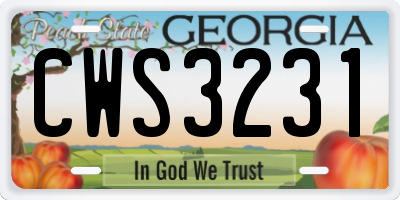 GA license plate CWS3231