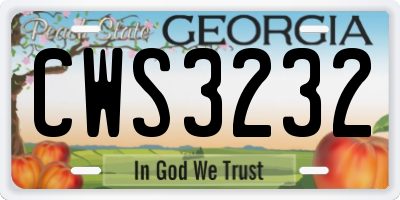 GA license plate CWS3232
