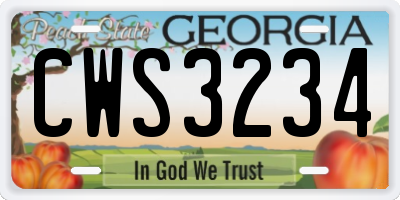 GA license plate CWS3234