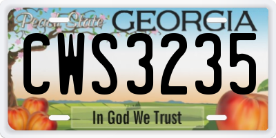 GA license plate CWS3235
