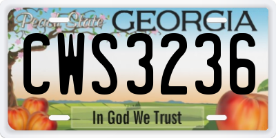 GA license plate CWS3236