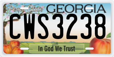 GA license plate CWS3238
