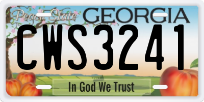 GA license plate CWS3241