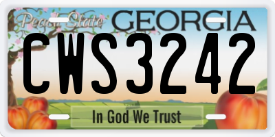 GA license plate CWS3242