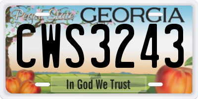 GA license plate CWS3243