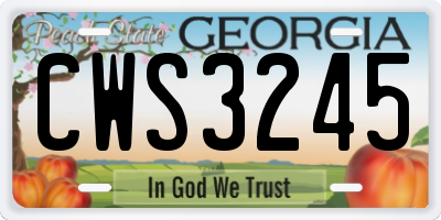 GA license plate CWS3245