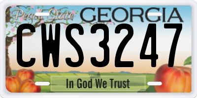 GA license plate CWS3247