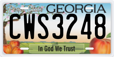 GA license plate CWS3248
