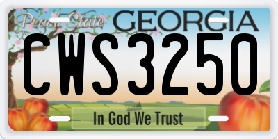 GA license plate CWS3250