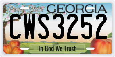 GA license plate CWS3252